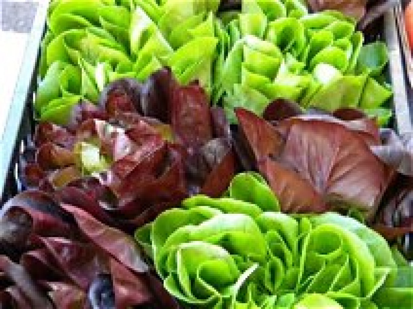 insalata mista